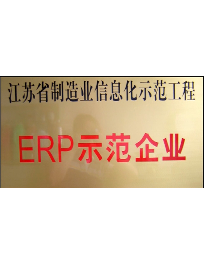 ERP示范企業